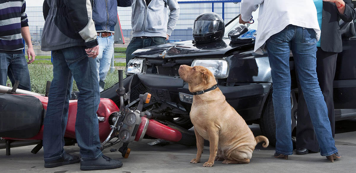 Las Vegas Motorcycle Accident Attorney Ladah Law Firm, PLLC Las Vegas Motorcycle Accident Attorney Ladah Law Firm, PLLC