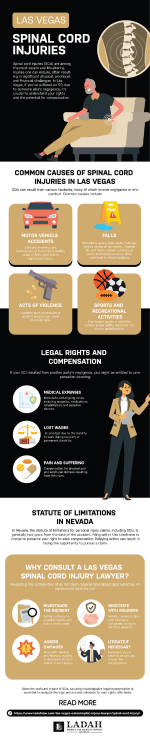 Spinal Injury Infographic
